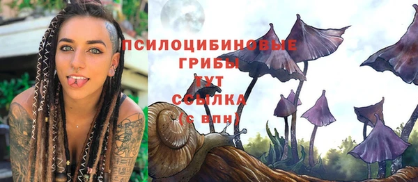 сатива Балабаново