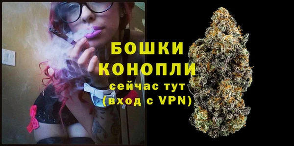 сатива Балабаново